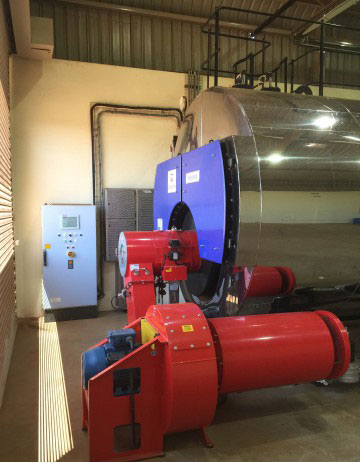 Cochran thermax 7t Boiler With Limpsfield Biogas & Diesel Fired Burner